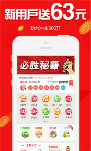 王中王欲錢(qián)猜一肖61期，揭秘生肖之謎與彩票樂(lè)趣，揭秘生肖彩票樂(lè)趣，王中王欲錢(qián)猜一肖61期揭曉生肖之謎
