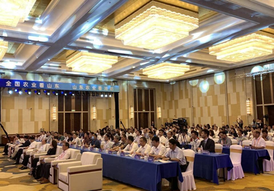 海峽兩岸新聞發(fā)展趨勢展望，2023年的機(jī)遇與挑戰(zhàn)，海峽兩岸新聞發(fā)展趨勢展望，2023年的機(jī)遇與挑戰(zhàn)分析