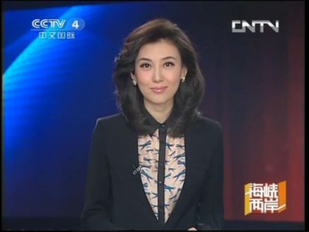 海峽兩岸臺(tái)灣主持人一覽，海峽兩岸知名主持人風(fēng)采展示