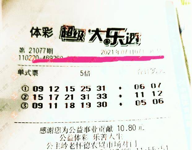王中王077期指一生肖，深度解析與SEO優(yōu)化，王中王077期生肖深度解析與SEO優(yōu)化策略