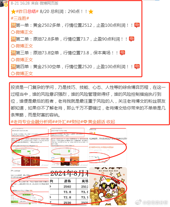 香港王中王一肖最準——揭秘精準預測的秘密，揭秘香港王中王一肖精準預測的秘密之道