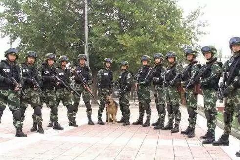 關(guān)于中國人民武裝警察部隊特種警察學(xué)院是否屬于提前批的解析，中國人民武裝警察部隊特種警察學(xué)院是否屬于提前批詳解