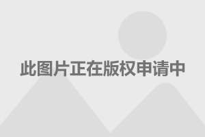 中國軍艦的種類與數(shù)量，全面解析中國海軍力量，全面解析中國海軍力量，軍艦種類與數(shù)量一覽