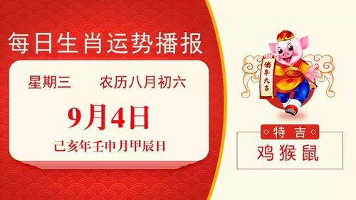 一箭20星猜一生肖，揭秘背后的神秘故事與生肖玄機，揭秘生肖玄機，一箭攜20星指向特定生肖的神秘故事