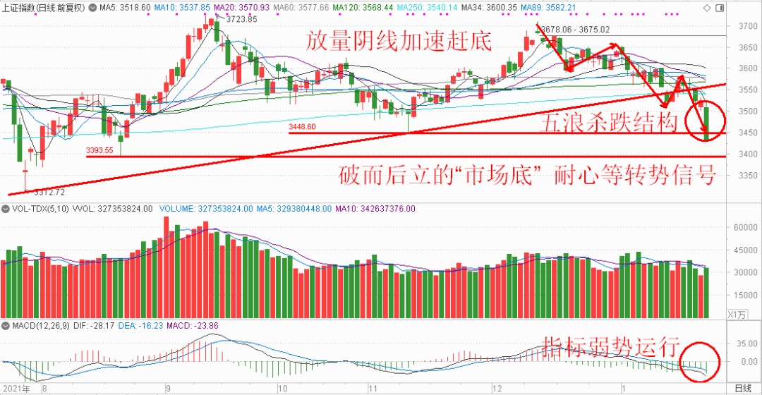新澳門彩五行走勢分析——揭秘彩票背后的秘密，揭秘新澳門彩五行走勢，彩票背后的秘密解析