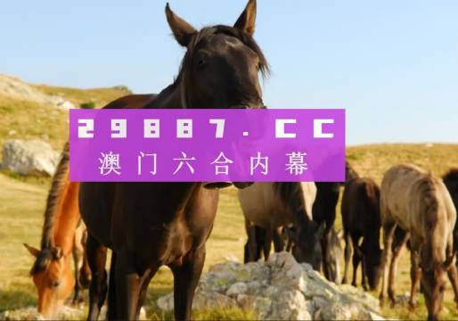 澳門管家婆——肖一碼的獨(dú)特魅力與傳奇故事，澳門傳奇管家婆肖一碼，獨(dú)特魅力與傳奇故事