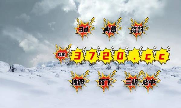 今期王中王必中一肖——深度解析與預(yù)測(cè)，王中王必中一肖深度解析與預(yù)測(cè)報(bào)告